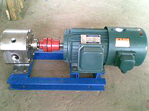 <strong>BW保温泵</strong>